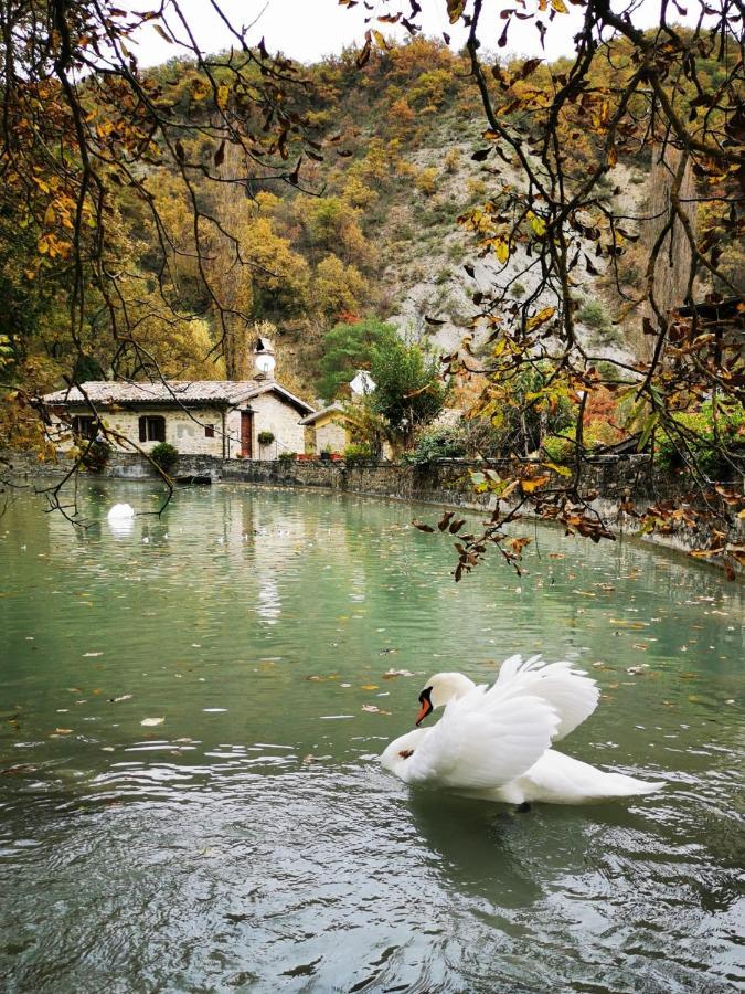 Pianpieve Nature & Relax Apartments 阿西西 外观 照片
