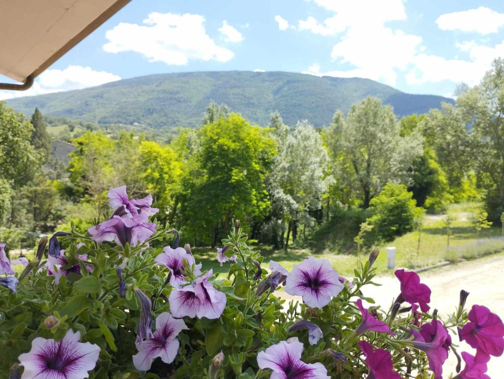 Pianpieve Nature & Relax Apartments 阿西西 外观 照片