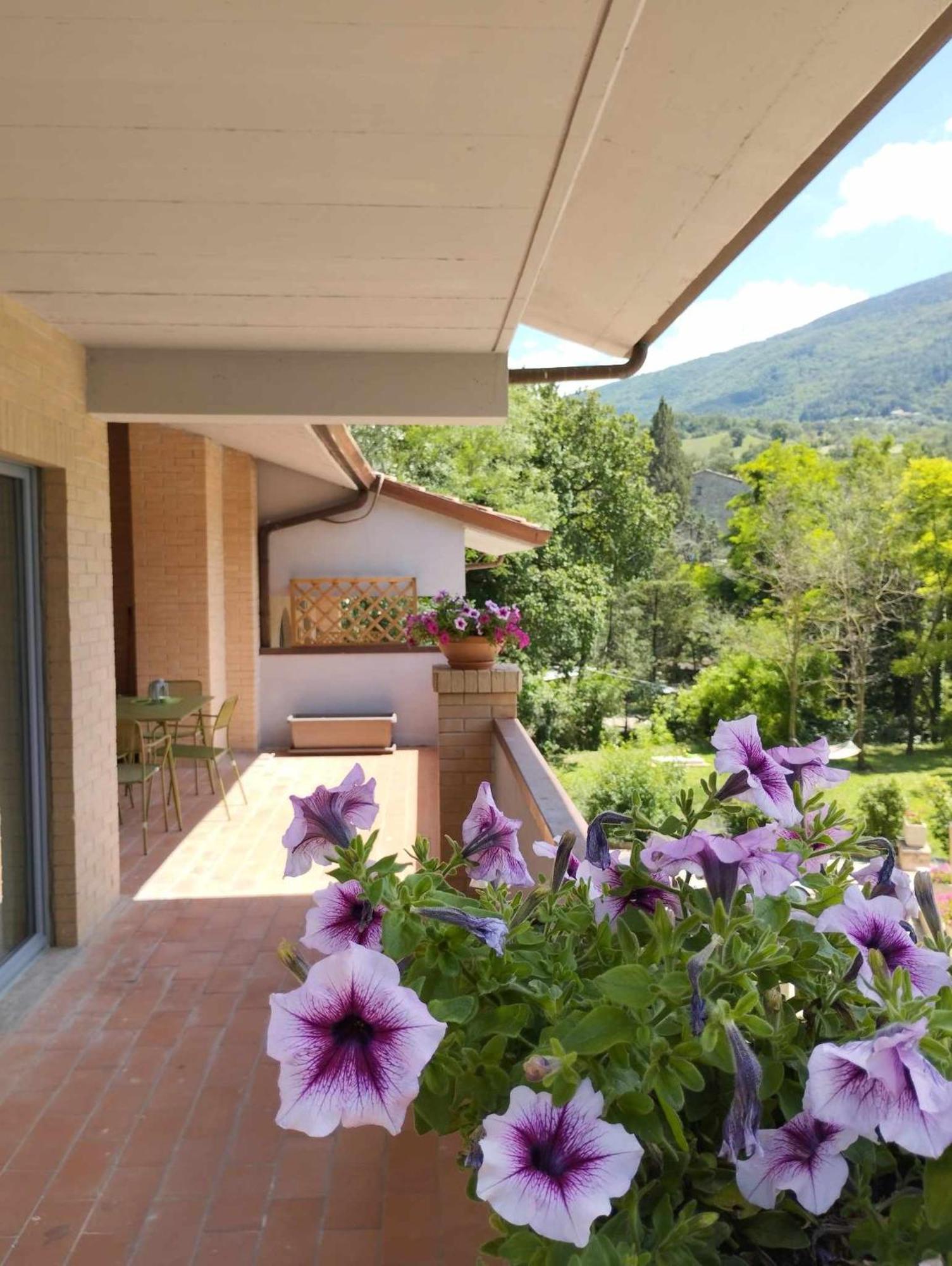 Pianpieve Nature & Relax Apartments 阿西西 外观 照片