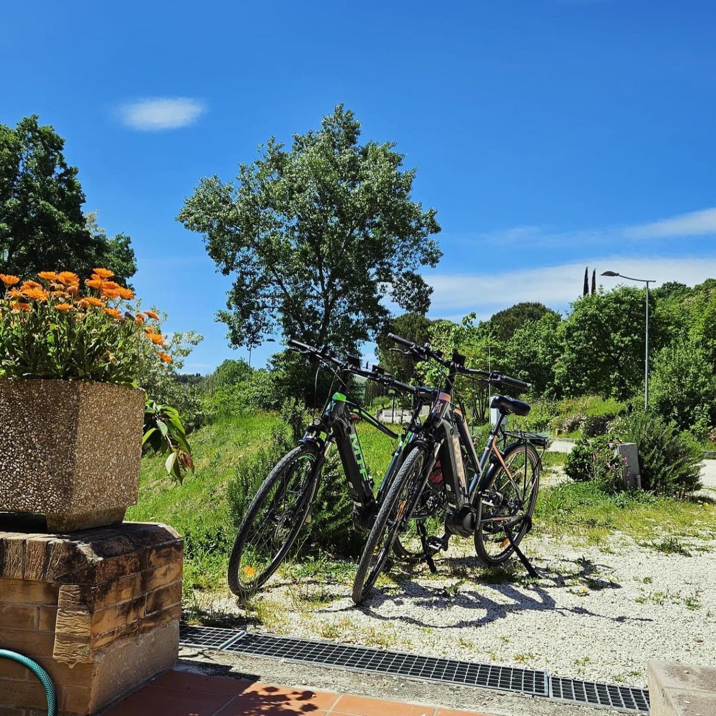 Pianpieve Nature & Relax Apartments 阿西西 外观 照片